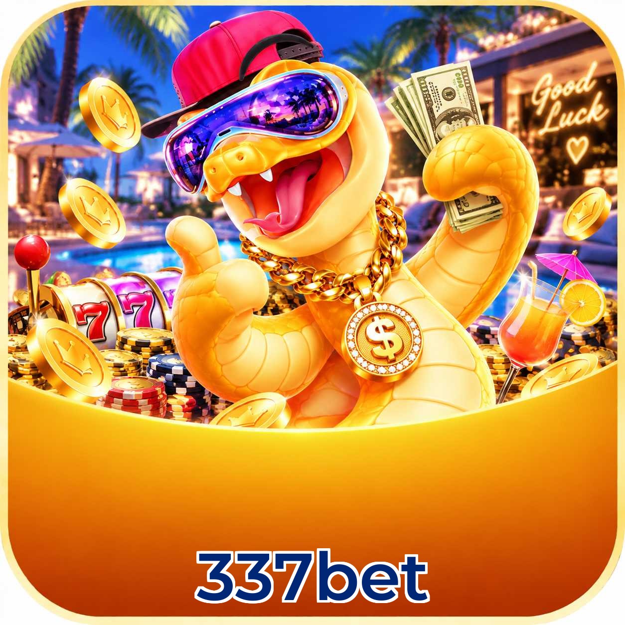 337bet Final Verdict